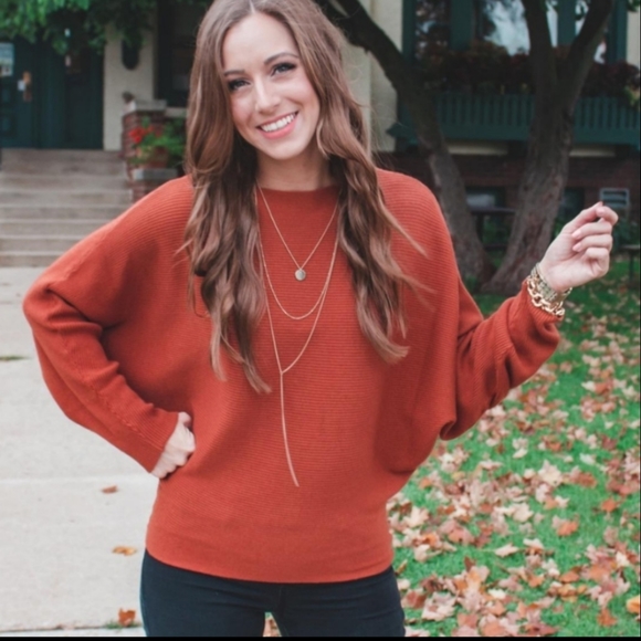 Lat Chance Sale! Cashmere Dolman Batwing Sweater - Picture 5 of 8